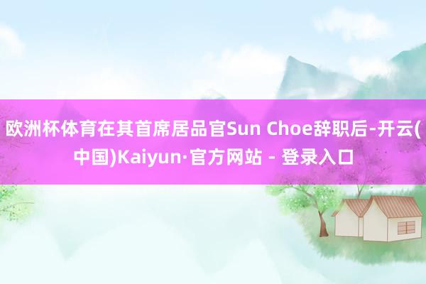 欧洲杯体育在其首席居品官Sun Choe辞职后-开云(中国)Kaiyun·官方网站 - 登录入口