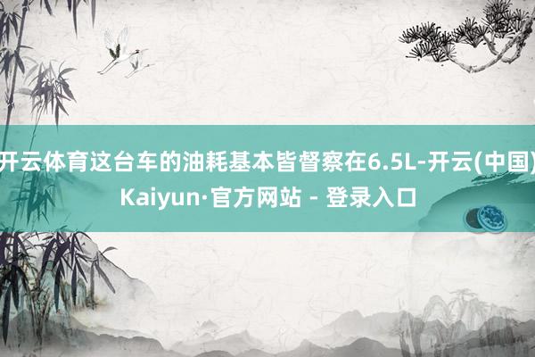 开云体育这台车的油耗基本皆督察在6.5L-开云(中国)Kaiyun·官方网站 - 登录入口