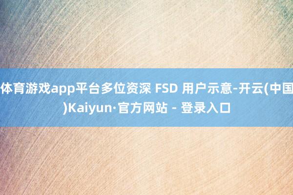 体育游戏app平台多位资深 FSD 用户示意-开云(中国)Kaiyun·官方网站 - 登录入口