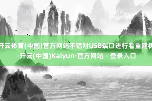 开云体育(中国)官方网站不错对USB端口进行看重建树-开云(中国)Kaiyun·官方网站 - 登录入口