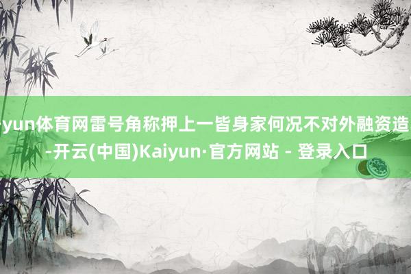 开yun体育网雷号角称押上一皆身家何况不对外融资造车-开云(中国)Kaiyun·官方网站 - 登录入口