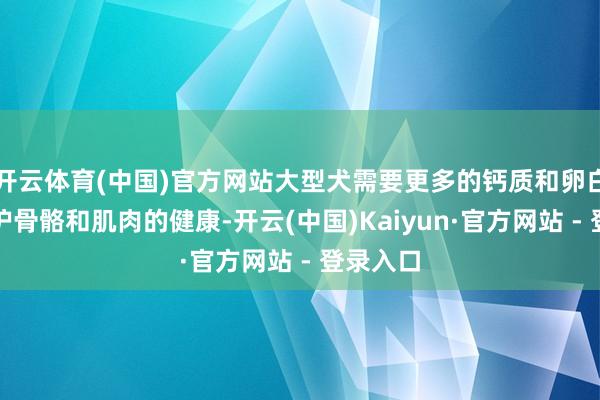 开云体育(中国)官方网站大型犬需要更多的钙质和卵白质来守护骨骼和肌肉的健康-开云(中国)Kaiyun·官方网站 - 登录入口